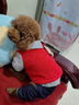 喵先生 宠物狗狗衣服小型犬泰迪衣服冬季狗衣服小狗幼犬衣服四脚棉 大口袋背带裤L码 建议8-12斤内 实拍图