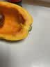 树上熟木瓜1粒750g 实拍图