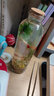 韩锦微景观生态瓶观赏鱼好养耐活真水草桌面迷你小鱼缸DIY作业韩锦 圆柱河沙绿菊花 实拍图