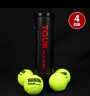 天龙（Teloon） 网球比赛训练习用球桶装P4高弹耐磨 TOUR POUND（四只装） 实拍图