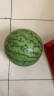 京鲜生 国产特小凤 黄瓤西瓜 1粒 单果1.25kg起 生鲜水果 实拍图