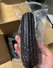 京鲜生东北黑玉米250g*8棒 新鲜香甜糯玉米棒 真空包装粘玉米 源头直发 实拍图