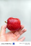 京鲜生 新西兰进口苹果 一级加力果12粒装 单果约160-190g 生鲜水果 实拍图