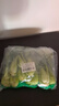 京鲜生 上海青 新鲜小油菜 600g 简装 新鲜蔬菜 实拍图