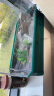 茨格曼生态乌龟缸饲养箱家用养龟专用箱养龟盆塑料乌龟缸养殖箱冬眠箱子 绿色 大号三层全套装 晒单实拍图