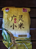 一禾谷香 山西黄小米 新碾新米广灵农家旱作杂粮油小米粥月子米小黄米 广灵黄小米（地标认证）500g*3袋 实拍图