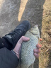 晚渔 海杆5付防缠绕钩大力马串钩钓鱼组串钩线组铅坠伊势尼鱼套装抛竿五个铃铛五个铅坠 伊势尼5付+铃铛5个+10克铅坠5个 6号伊势尼鱼钩 实拍图