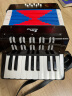 NEW CLASSIC TOYS儿童手风琴初学乐器玩具 早教音乐启蒙玩具可弹奏男女孩生日礼物 大号黑色 17键8贝斯【6岁以上】 实拍图