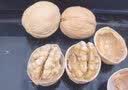 江博尔新疆纸皮核桃原味生核桃 新核桃阿克苏特产薄皮核桃 5斤礼盒装 实拍图