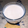南国 海南特产 速溶椰子粉 椰奶营养即食早餐粉 代餐椰汁粉 450g/罐 实拍图