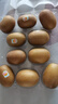 佳沛（zespri）新西兰  阳光金奇异果10粒礼盒巨大果单果约144-175g 水果 猕猴桃 实拍图