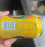 广氏 菠萝啤汽水果啤菠萝果味饮料330ml*6罐 实拍图