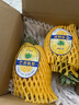 沃鲜谷【顺丰】芒果凤梨 树上熟 非金钻凤梨菠萝  香甜多汁 新鲜水果 4-4.5斤 大果2个 实拍图