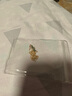 苏十六有你竹够925银项链女和田玉吊坠高级感锁骨链生日礼物送老婆女友 【知竹】项链-金色 实拍图
