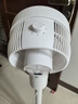 美的（Midea）【暴风循环】空气循环扇大风量摇头电风扇家用台式落地扇轻音卧室节能小风扇柔风轻羽扇 FGA24TQ 实拍图