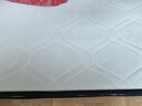 雅戈兰罗 天然椰棕床垫硬棕垫薄榻榻米棕榈定制睡垫乳胶1.5米席梦思床垫子 高密度3e棕总厚度5厘米（直板） 1.5米*2米 实拍图