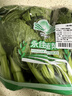 【高原夏菜】 菜心苗250g 实拍图