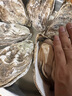 鲜海道【品质】鲜海道生态生蚝  乳山牡蛎 活鲜海蛎子生鲜贝类 品质升级8XL-净重9斤 实拍图
