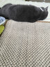 美悦宠物 猫抓板剑麻垫磨抓器耐磨大号猫玩具沙发垫子防猫抓猫窝磨爪板 XL码60*90cm颜色随机 4颗螺丝钉 实拍图