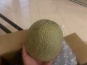 京鲜生 网纹蜜瓜 2粒装 净重2kg 单果1kg  礼盒生鲜水果 实拍图
