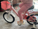 小龙哈彼（Happy dino）儿童自行车女童款小孩14寸公主山地单车 脚踏车粉色LG1486-H 实拍图