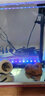鱼之眼鱼缸灯照明灯led灯防水气泡条led带气泡灯增氧观赏七彩彩灯 32cm七彩渐变款 +气泵套餐 实拍图