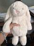 Jellycat害羞乳白色邦尼兔动物毛绒玩偶安抚玩偶娃娃生日新婚礼物 害羞乳白色邦尼兔 Medium 实拍图