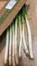 京鲜生山东正宗铁杆大葱净重3斤脆嫩佐料辅餐源头直发包邮 实拍图