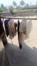 枫尚 晾衣架落地折叠晾衣杆阳台凉晒衣架不锈钢室内外伸缩晒被架 实拍图