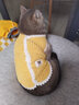 铂呐苓猫咪狗狗宠物衣服小型犬加厚保暖泰迪加菲布偶英短衣服两脚款棉衣 宠物衣服【可爱黄小熊】 L 实拍图