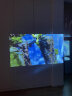 光元素A2投影仪家用投影机智能家庭影院投影机15天免费试用(10w*2音响;皮质外观;2+32GB大储存)雅拉蓝 实拍图