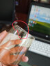 苏泊尔家用锥形杯子具带把耐高温单层玻璃凉水壶瓶320mL*2琥珀KC32KA10 实拍图
