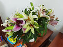 悦多彩AB级优质香水百合 家庭办公室各色生活鲜花 昆明基地 现采直发 百合组合20朵（粉色/白色各10朵） 实拍图