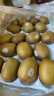 佳沛（zespri）新西兰阳光金奇异果16-18粒原箱单果重约175-233g水果猕猴桃 实拍图