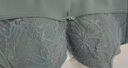 欧迪芬欧迪芬内衣女无钢圈文胸抗菌亲肤侧收副乳小胸聚拢胸罩XB0522 实拍图