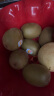 佳沛（zespri）新西兰阳光金奇异果10粒礼盒巨大果单果约146-175g水果猕猴桃 晒单实拍图