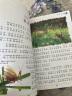 小王子 彩图注音版 一二三年级课外阅读书必读世界经典儿童文学少儿名著童话故事书 晒单实拍图