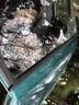 开兵团汽车玻璃胶前挡风玻璃专用胶车顶天窗漏水防水胶聚氨酯黑色密封胶 1支半透明-防水防霉 送胶嘴工具 实拍图