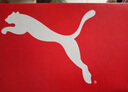 彪马（PUMA）板鞋男鞋女鞋25夏季情侣户外运动鞋低帮厚底休闲鞋滑板鞋学生男女 【主推款】鞋面透气孔/39码及以下偏小半码 40.5 265mm/7 实拍图