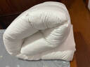 水星系列家纺100%羽绒被95白鹅绒被子静音被芯春秋季被单双人加厚保暖冬被学生 静音全棉羽绒被白色平格款 150x200特厚被（填充1500克鹅绒） 实拍图