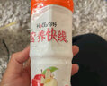娃哈哈 营养快线500g*15瓶 整箱装 早餐酸奶饮料饮品多口味可选果味饮料 香草淇淋味500g*15瓶/箱 实拍图