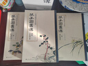 全3册《芥子园画谱》套装画传康熙原大彩色版完整王概正版国画入门基础山水梅兰竹菊花鸟临摹技法清实用教材书京东618活动 实拍图