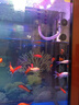 sobo松宝过滤桶鱼缸过滤器外置滤桶缸外过滤系统水族箱吸鱼屎净水器 SF-850F +【基础滤材套餐】30%鱼友选择 过滤桶无杀菌灯 实拍图