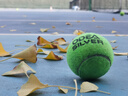 史莱辛格（Slazenger）网球 训练比赛球胶罐3粒装STB340966 实拍图