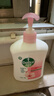 滴露（Dettol）洗手液消毒抑菌滋润500g+500g补充装儿童家庭护手替换 实拍图