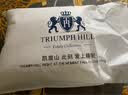 TRIUMPHHILL  五星级酒店鹅绒羽绒抱枕方枕芯头靠垫沙发靠枕大抱枕鹅绒毛靠背 45cm*45cm 含枕芯 不含套 一个价 实拍图