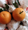 绿美鲜城湖北秭归伦晚脐橙果冻橙正宗纽荷尔九月红新鲜当季现摘水果橙子 果径70-75mm 5斤实惠装 实拍图