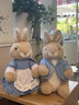 比得兔（Peter Rabbit）玩偶公仔抱枕彼得兔毛绒玩具公仔兔子玩偶婴儿玩具比得兔生日礼物 比得兔25cm 25*18*16 实拍图