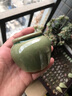 景青小花盆陶瓷多肉控型拇指盆简约创意个性透气桌面迷你可爱 ZY拇指绿冰裂-小缸陶瓷 小 实拍图