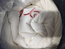 红豆A类抗菌大豆纤维被子春秋被冬被棉被褥加厚四季通用被芯家用双人 婴儿粉 1.5*2.0m加厚冬被/约7斤 实拍图